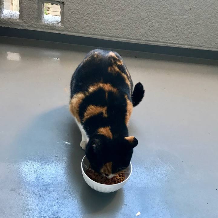 Ebc11a4b 1a8a 4154 bda0 11348614ef0b