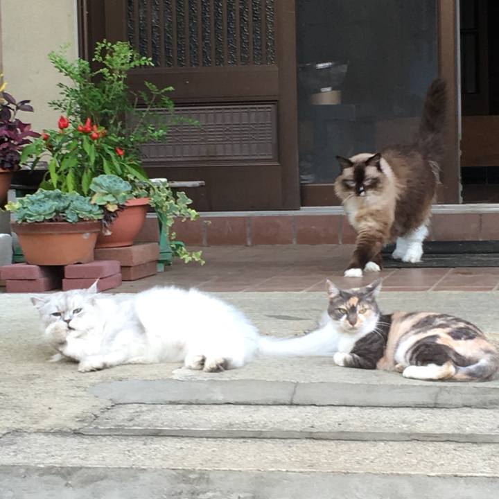 Ebc21107 09ff 4f9a b89e 07f815550f62