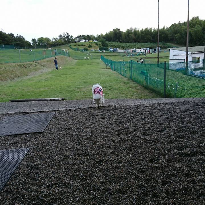 Ebc218ee aa67 46c5 b105 40244e176ea8