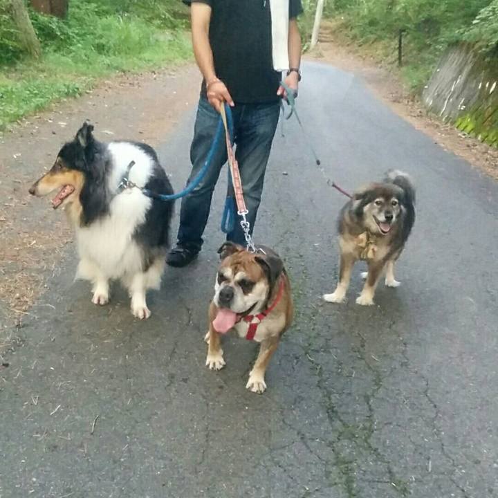 Ebc28eea 8f63 4430 bd9b 53f4fc57bdd1