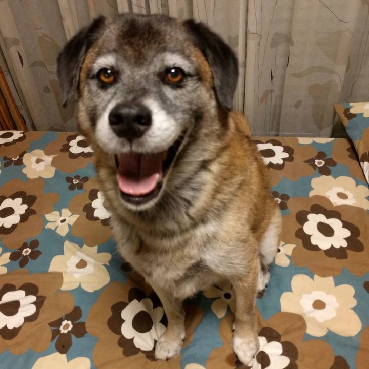 Ebc290d5 2e4c 4d23 a55c 70cba37f4dd6