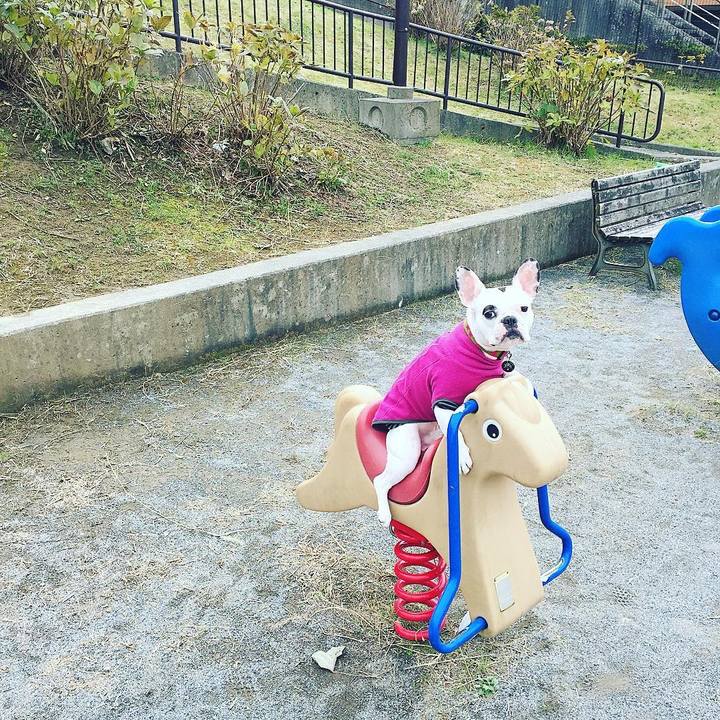 Ebc35fee 6dc1 4672 a9ee 353fdd35390e