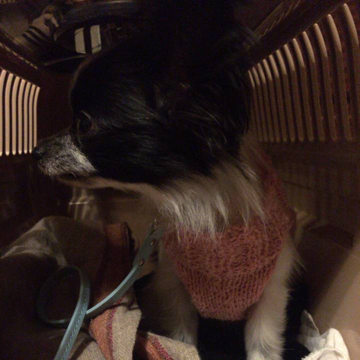 Ebc3b434 a0cb 46fc 9bf4 b1930289ef8c