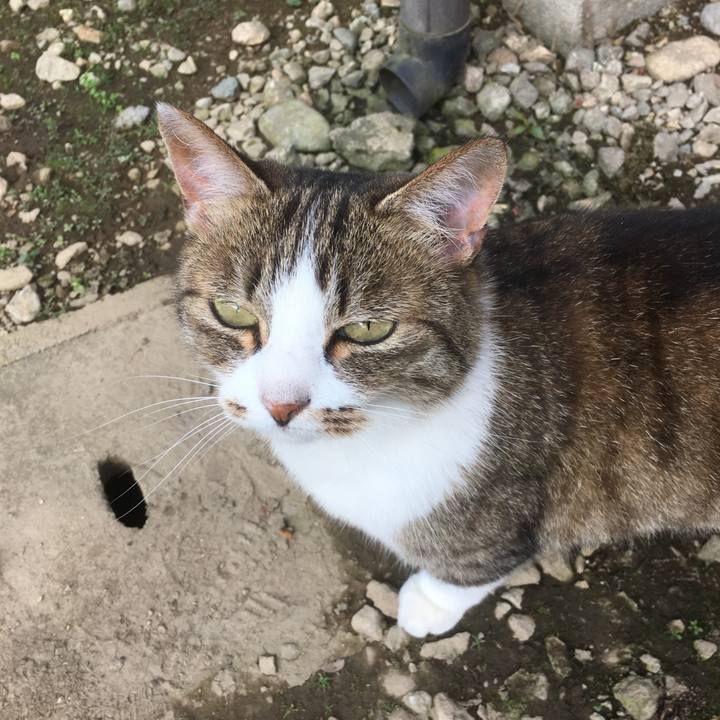 Ebc3c082 3fd6 449b 9c50 70128dc980e8