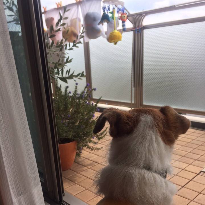 Ebc3c850 73e1 4369 97c1 d8bd83adcfdd