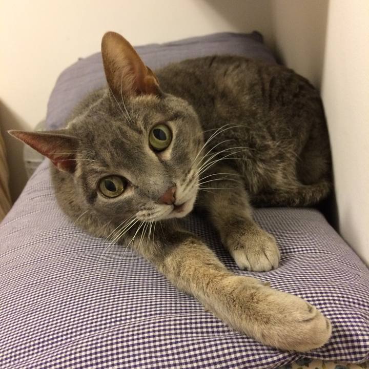 Ebc49f39 d4ce 448c 80fb 15907e65752c