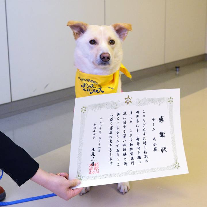 Ebc59d1f 899d 4180 95c6 85a816a184c5