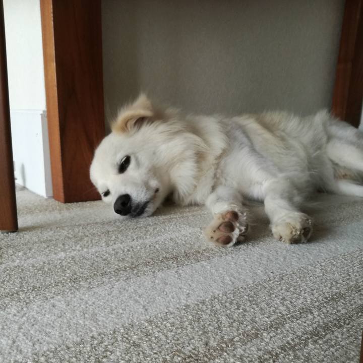 Ebc5c9e9 b987 4849 bec3 5fd803675204