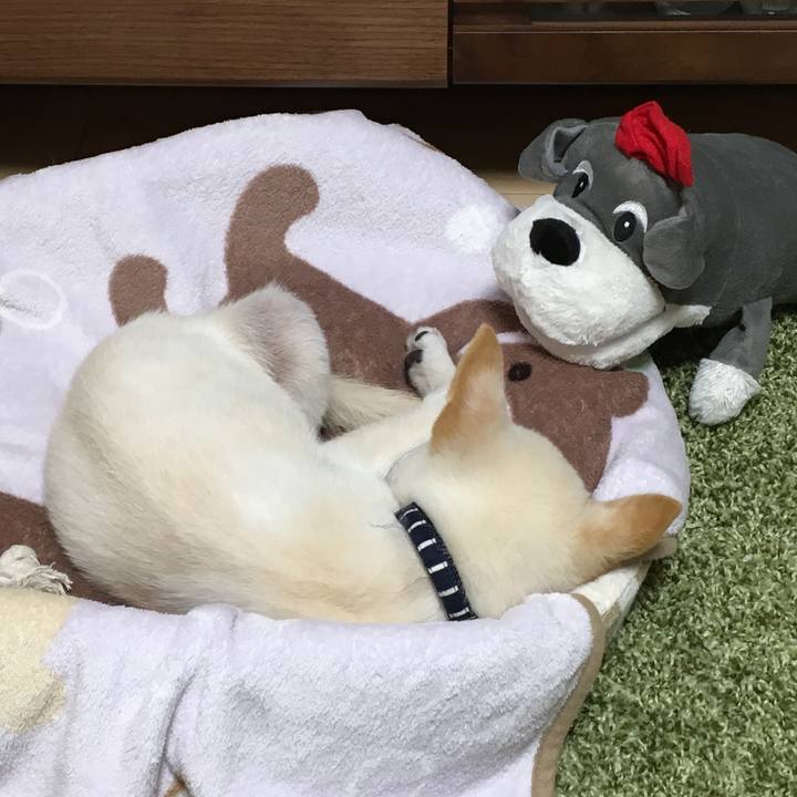 Ebc5ffba 7d11 44a5 9be0 c4b25eae7be9