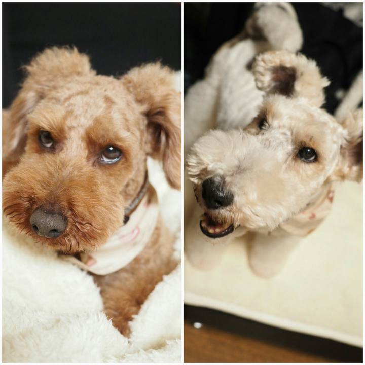 Ebc62610 6096 4af1 82bd f5f7b86d100f