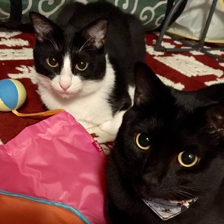 Ebc66840 86e3 4abc b85d 6340ed554f71