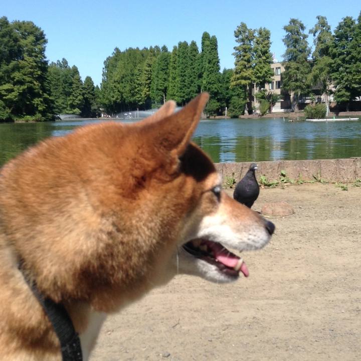 Ebc66b91 ddef 4dcc 983c 83558f454d3b