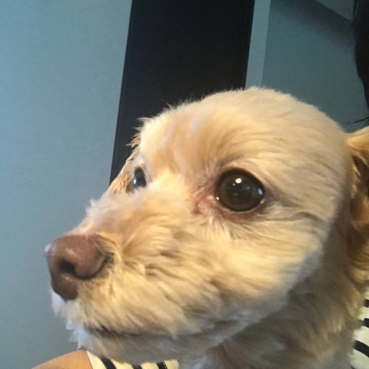 Ebc690fd b0f1 41a8 a355 ce78f4bb1b15