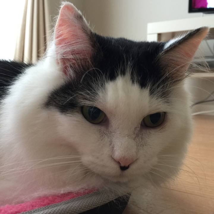 Ebc6beee a1dd 46fe 9ca9 792e03a0920e