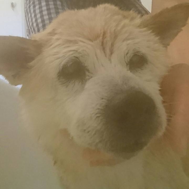 Ebc78335 3d59 40e1 93b3 b174f9886997