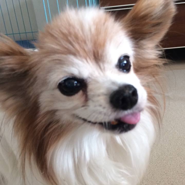 Ebc790e1 6157 4b84 9c92 43504275c298