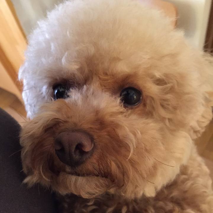 Ebc7b311 fd7f 42ec a725 8d571d98d216