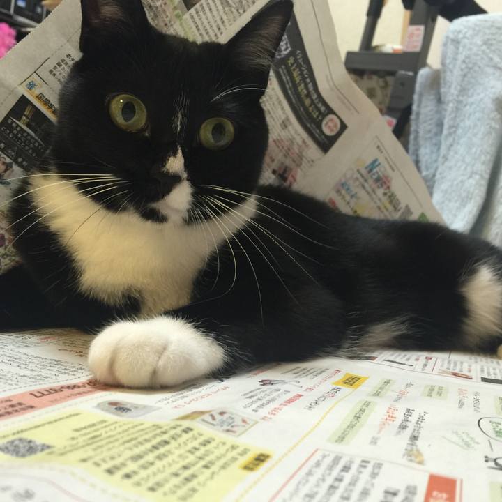 Ebc7eda8 fa1e 4b87 804c b640f6bed59e