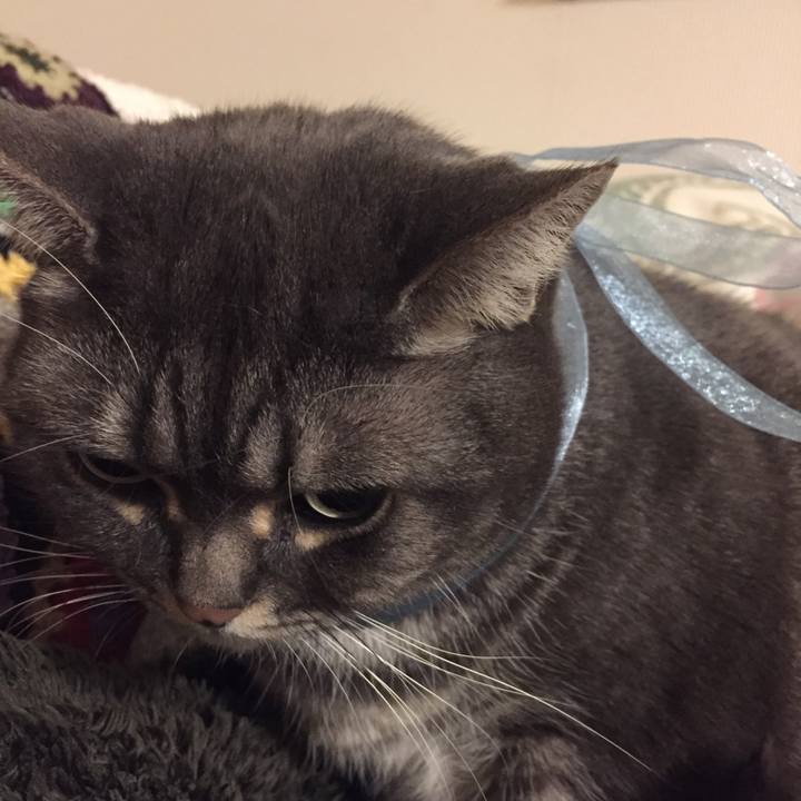 Ebc82b94 a30b 4437 9866 bd84c1083ed5