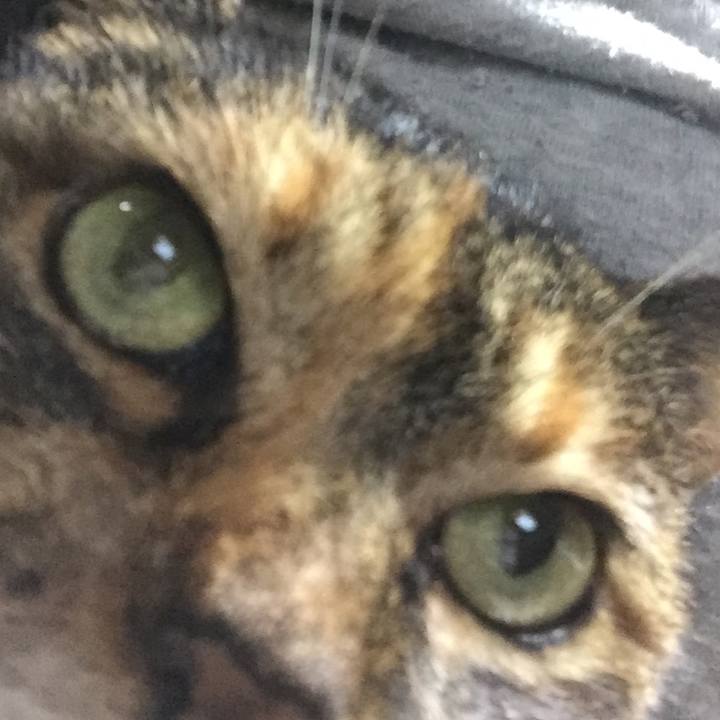 Ebc9d329 b4dd 40b9 87a7 4abffe286fe3