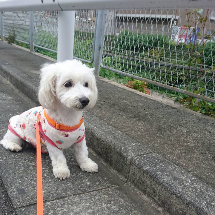 Ebcadfa5 89f4 4026 8aa1 cf6ba44d0374