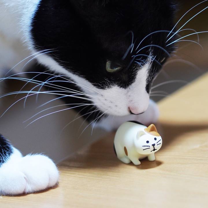 Ebcafabb 35e6 4206 b80f 7bbeb7b5d4c8