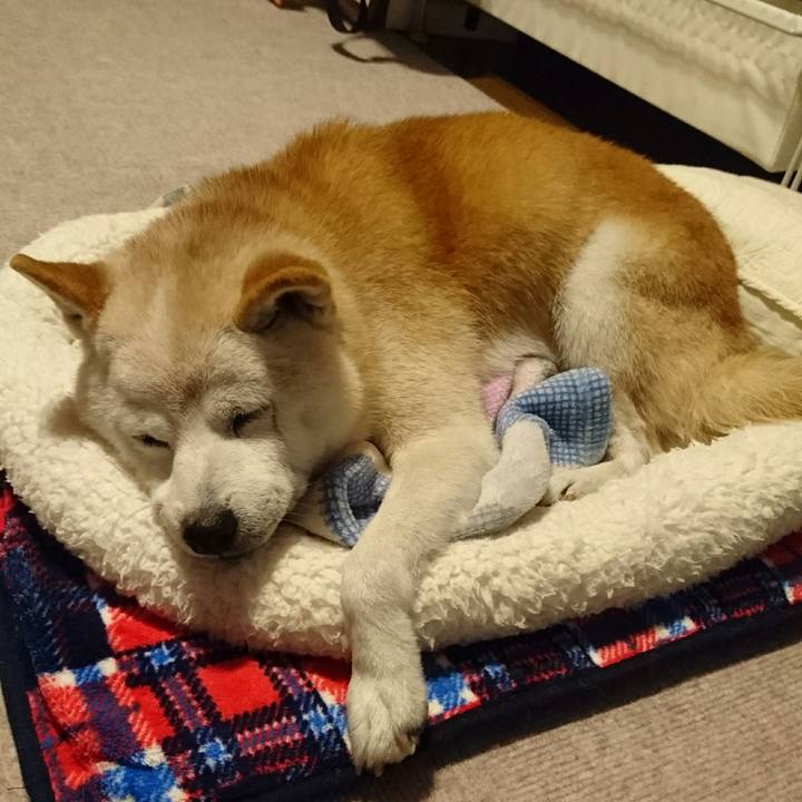 Ebcc145a 1d6c 4bfa b8f0 b22f59b2d49a