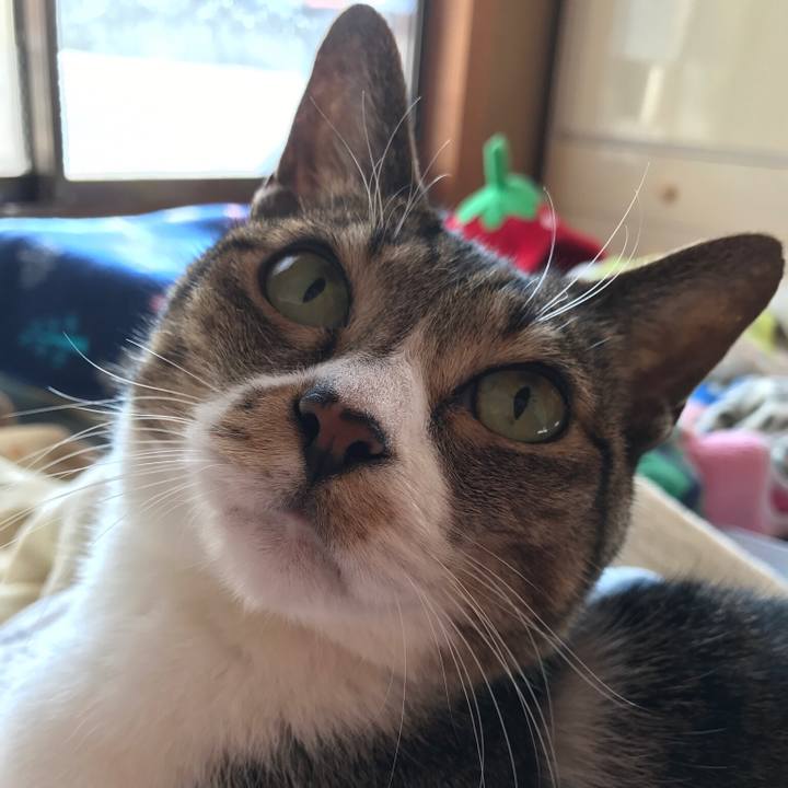 Ebcc5861 c490 4fd1 936d a7b847230ab2