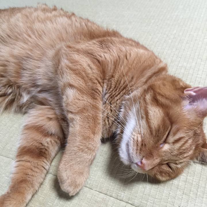 Ebcc7d57 da5b 41c1 b2fa 2e97807a8ec5