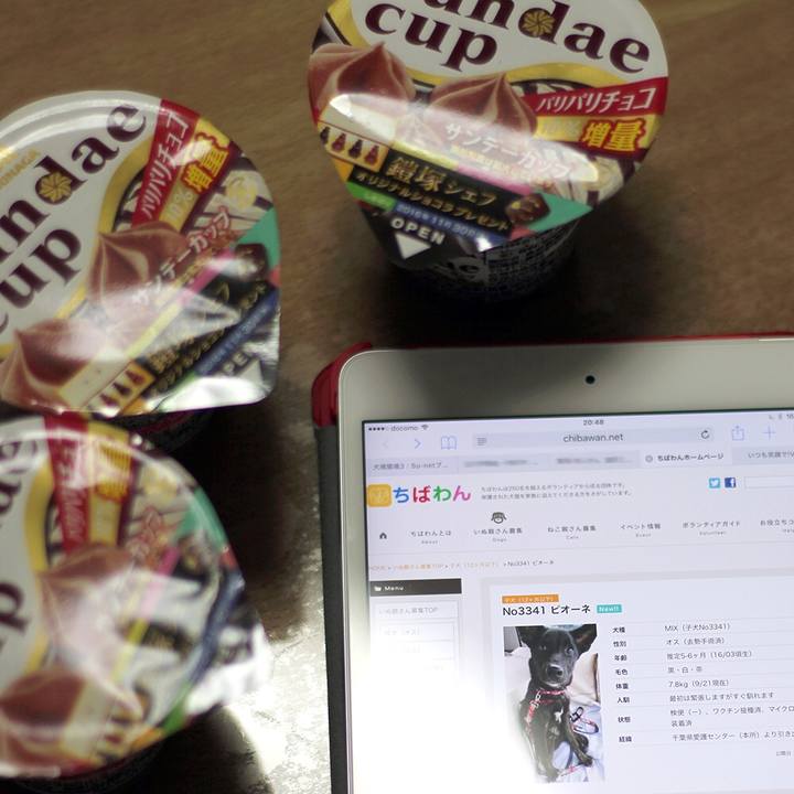 Ebce5edd 2783 4a9a 92c4 37469b4552c7