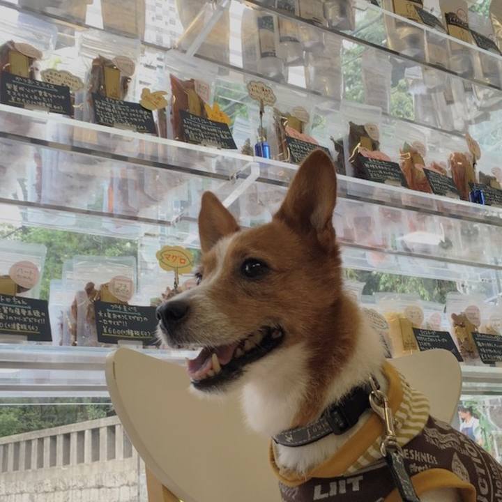 Ebceb269 4775 4176 bb72 6b54bd917855