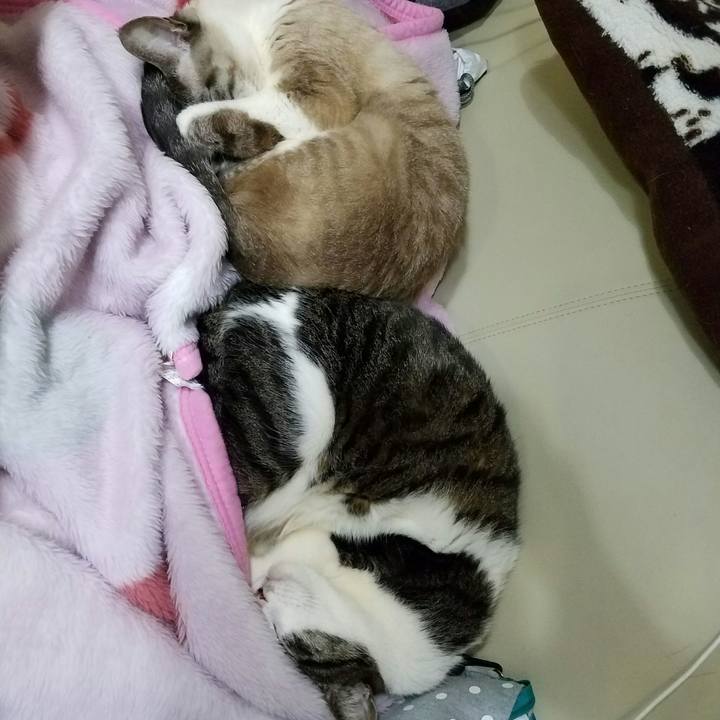 Ebcedc8b 300b 4d87 ae7c 210c6d7155a1