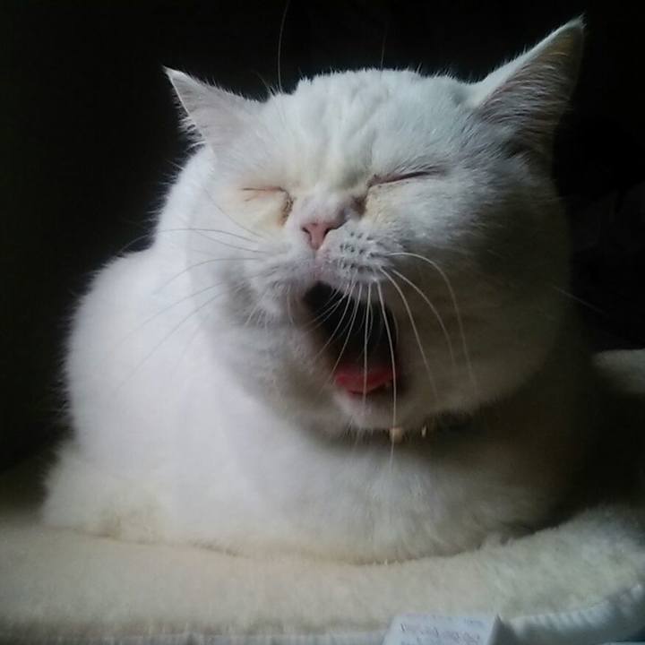 Ebcf7d92 36bf 455f 814a f0f74c94d146