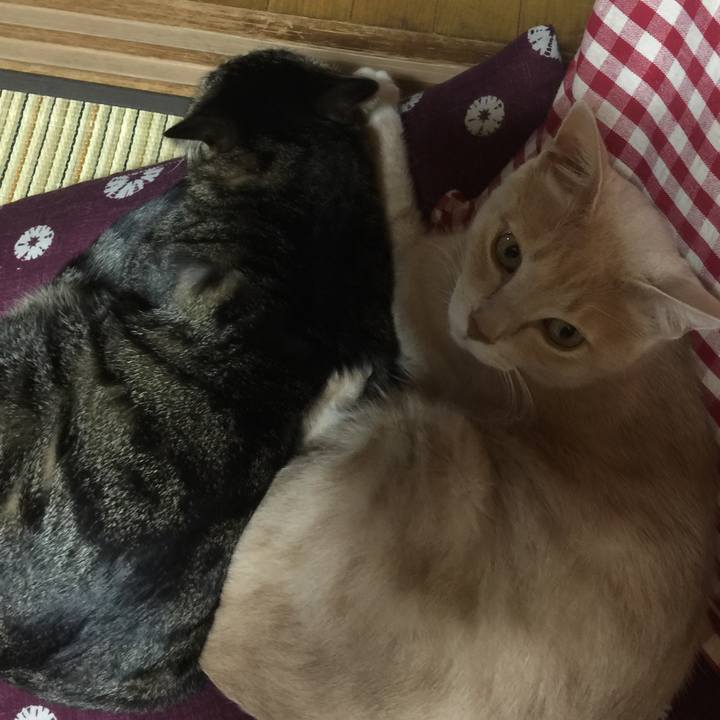 Ebcfa979 a388 4789 81b2 91613d41d5d9