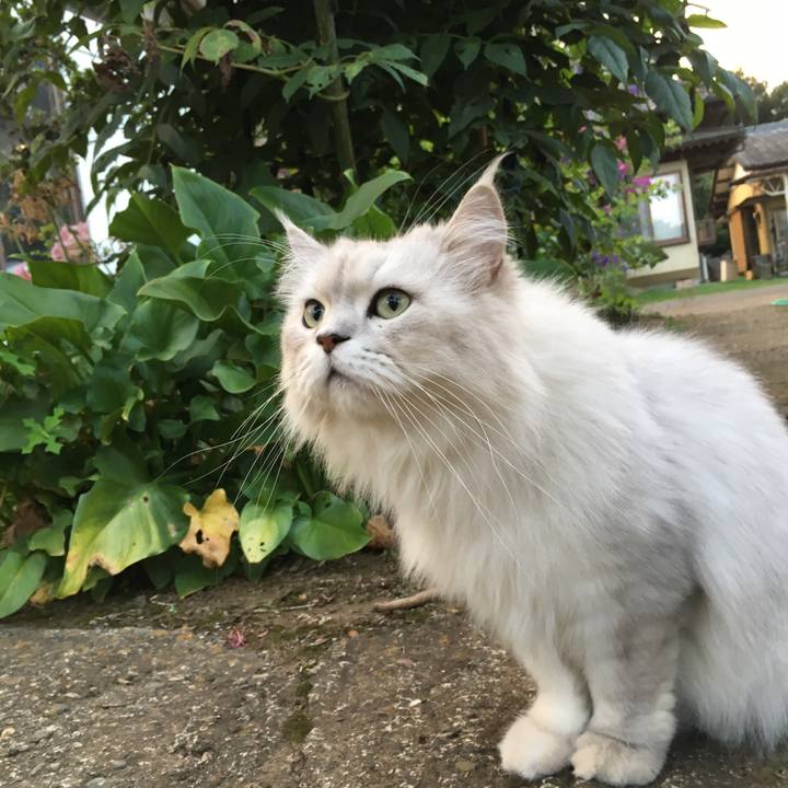 Ebcfc787 a324 4421 8c29 c2d3a10d9c6d