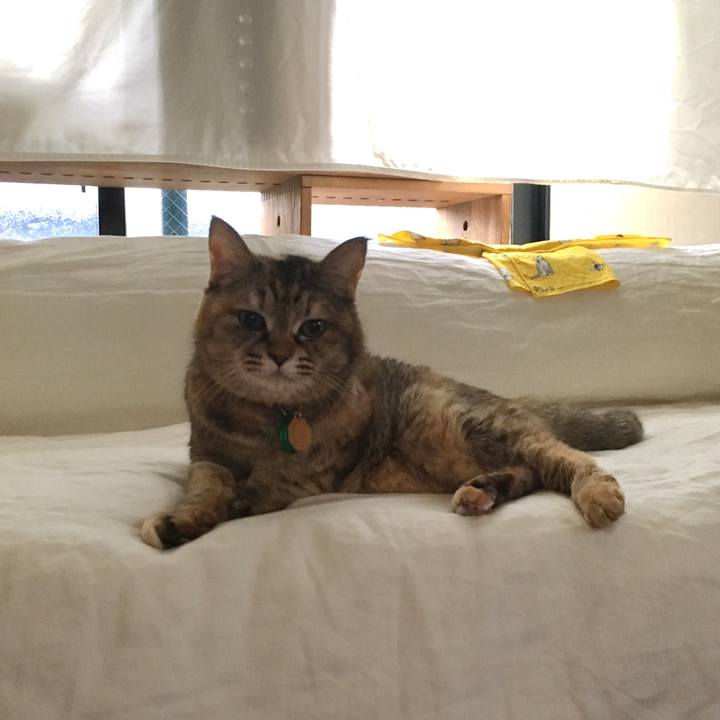 Ebcff3ed 0231 41c7 a732 89f1e4837ae7