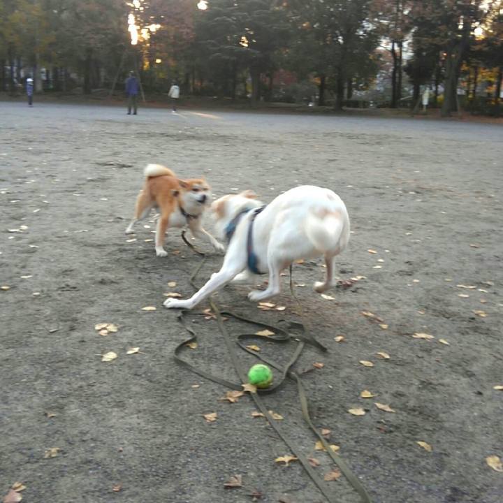 Ebd03597 6a47 49ca b43f b3b7d6fc756d