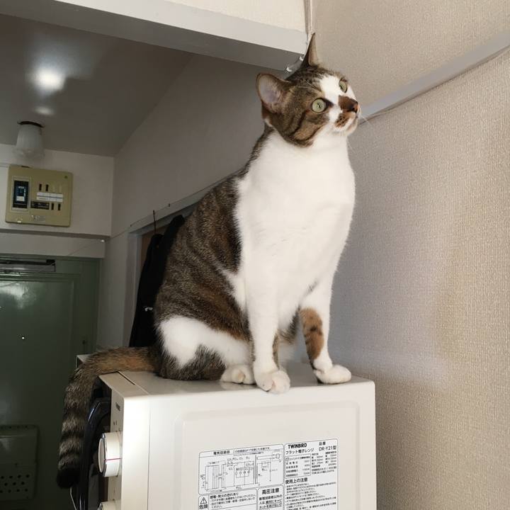 Ebd0a4b2 84a3 408f bd91 4fec8e202baa