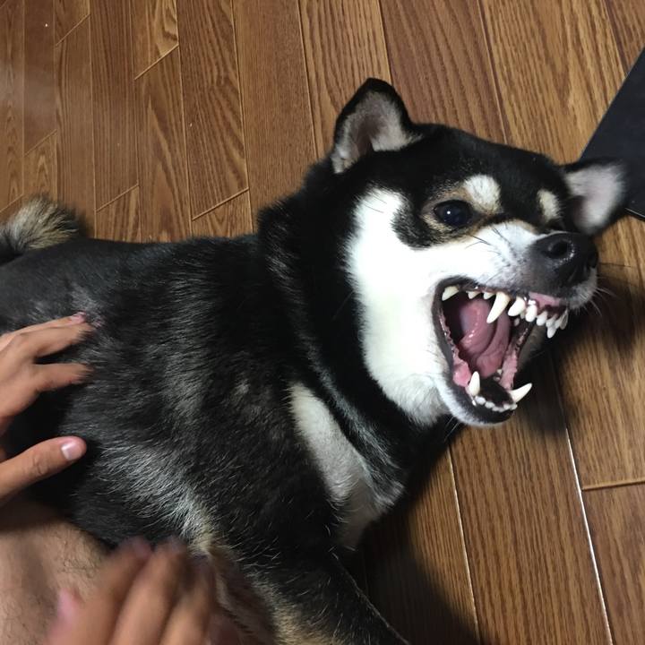 Ebd0e2a1 047e 4515 a0e9 43cee379d3e8