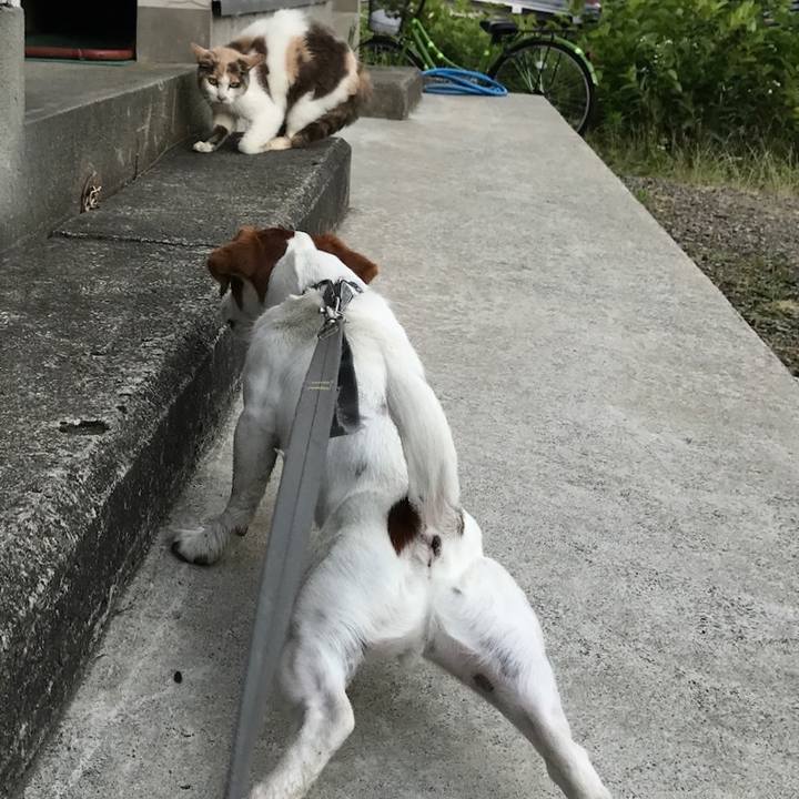 Ebd123fb 6607 4b93 af0d d80f28c0bdf9