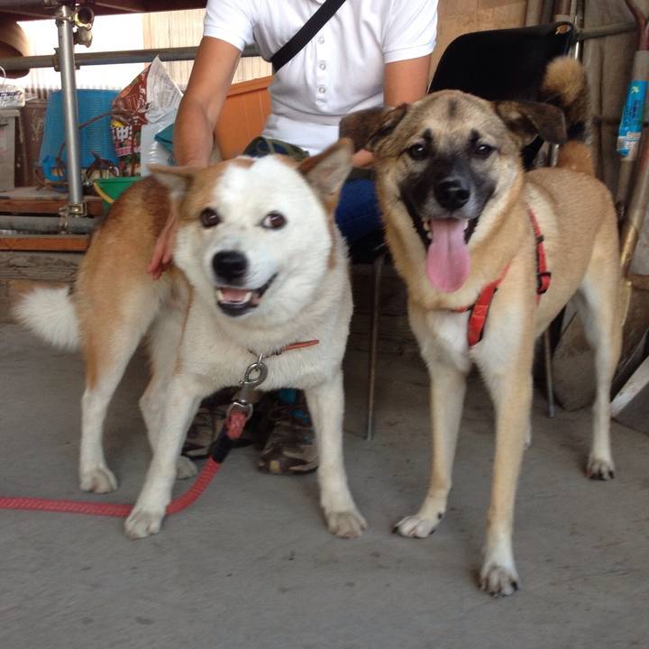 Ebd19469 1f84 4d8e b27e 7dfd3b4940f2