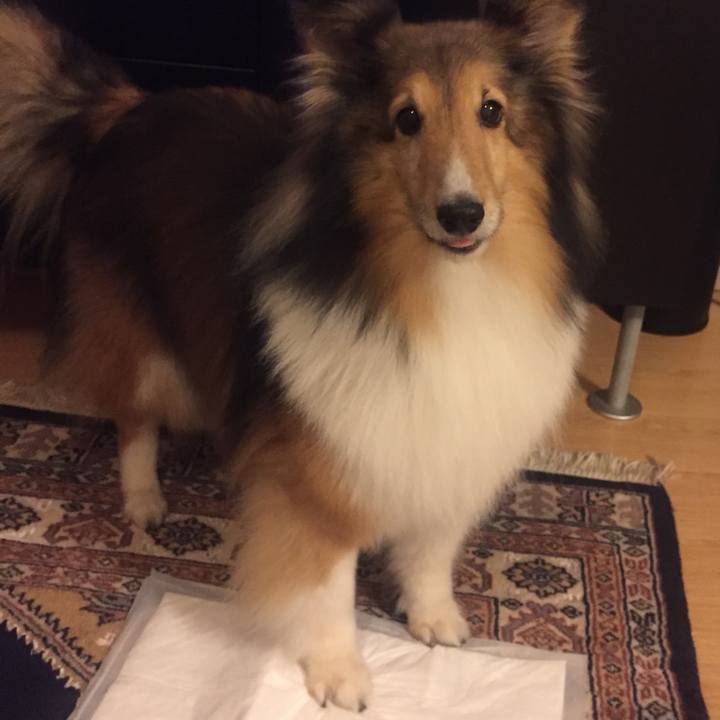 Ebd1eaf9 898a 47fb b29a 53c33850f9f5