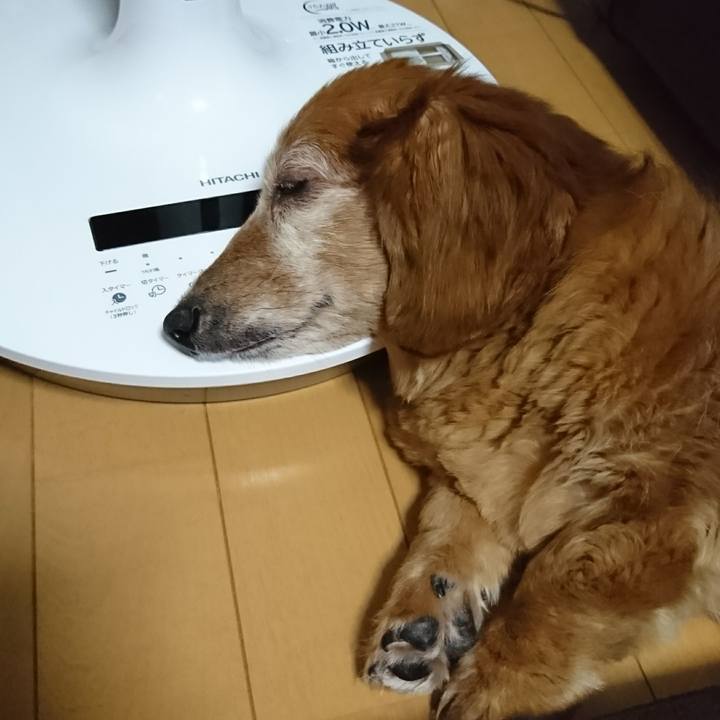 Ebd2e0d5 25b2 4676 a81a f13f93ecc427