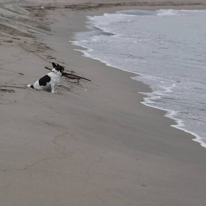 Ebd2f5b2 a08b 4fdd a195 f22e4c2367d7