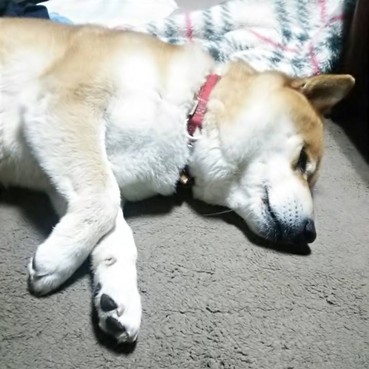 Ebd39363 58eb 4eb9 899e dc581b3e9d89