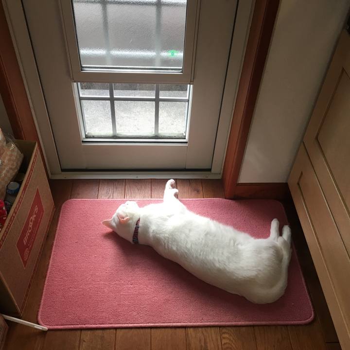 Ebd3973c 6a0e 478e b716 04418dec6c16