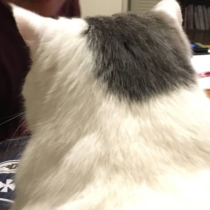 Ebd3a229 4def 4338 8eac f3613285da58