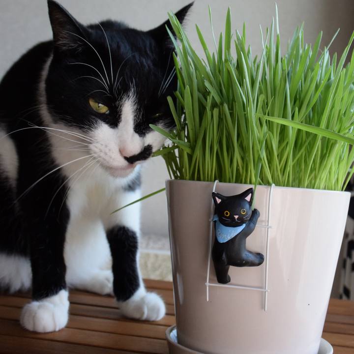 Ebd3d54b 534d 4f21 8eff cc1489a875df