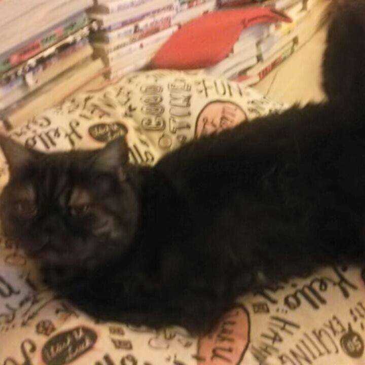 Ebd3efe0 c5e8 4a64 82ad 3ad866ce5cf5