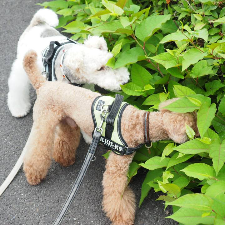 Ebd4d8bb 32e2 4efb 84ec 9afa5a4ade69